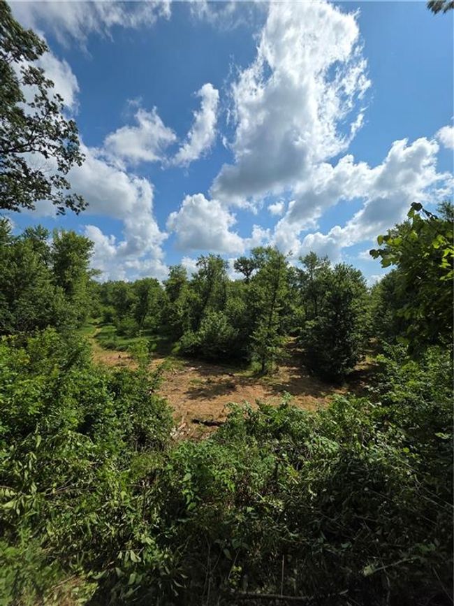 View of nature | Image 49