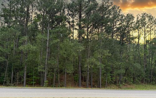 000 Fm 92 S, Woodville, TX, 75979 | Card Image