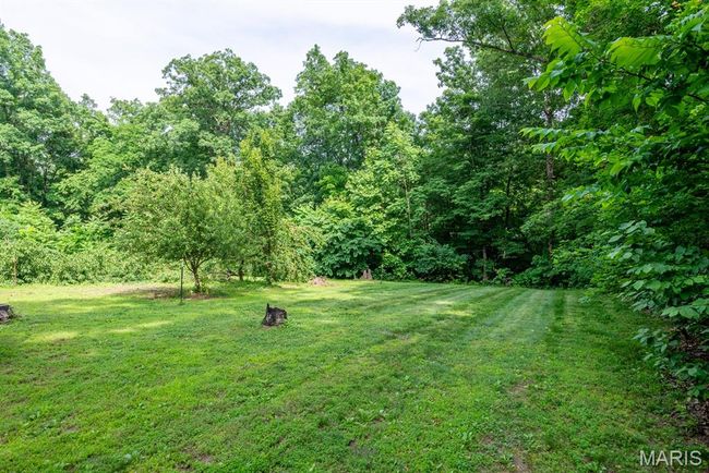View of green lawn with a forest view | Image 24