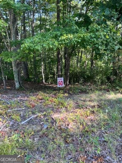 LTS 61 & 62 Honeysuckle Way, Ellijay, GA, 30540 | Card Image