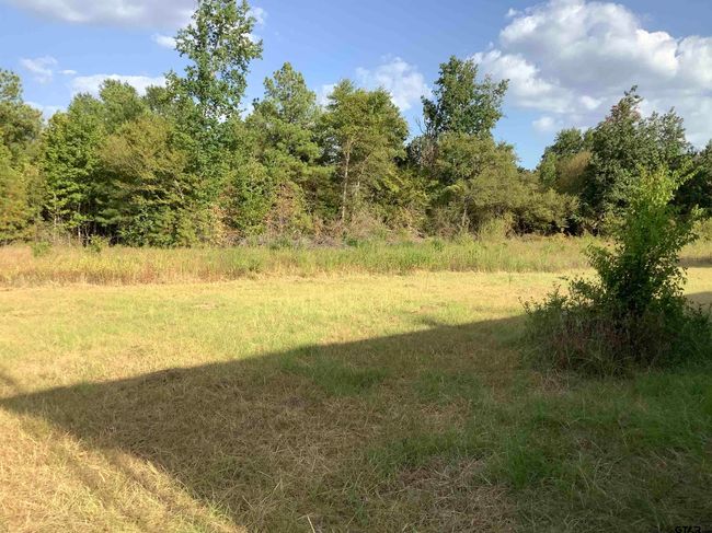 5664 Fm 757, House other with 3 bedrooms, 2 bathrooms and null parking in Winona TX | Image 9