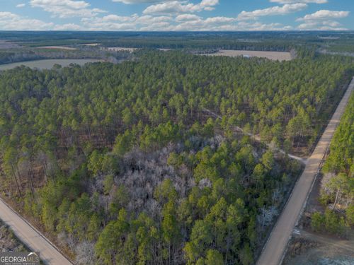 Tract 5 Reddish Rd, Odum, GA, 31555-6598 | Card Image