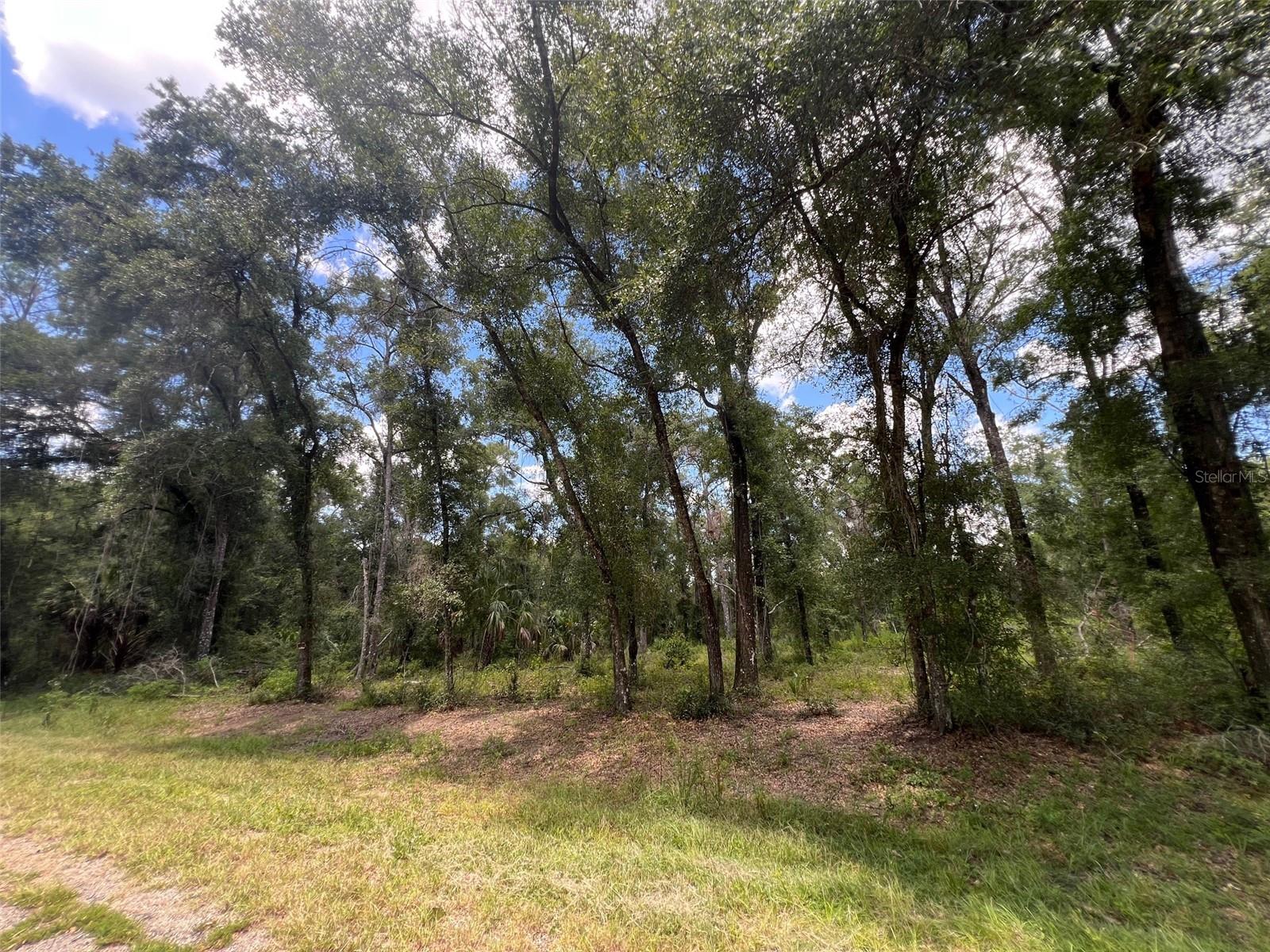 Land in DUNNELLON 3