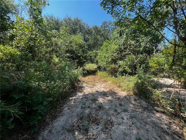 30 Fm 1486, Home with 0 bedrooms, 0 bathrooms and null parking in Richards TX | Image 8