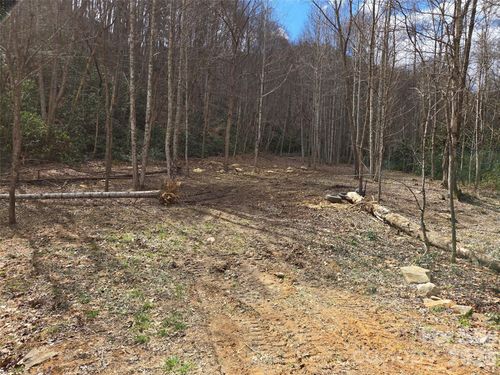 00 Laurel Branch Rd, Waynesville, NC, 28785 | Card Image