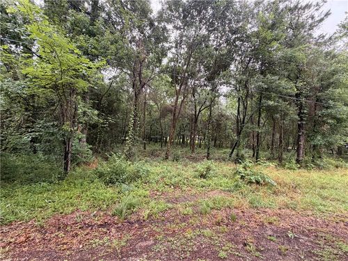 TBD Pecan Tree Lane, Montgomery, TX, 77316 | Card Image
