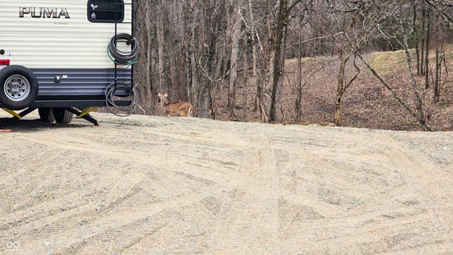5900 S County Road 700 E, Home with 0 bedrooms, 0 bathrooms and null parking in Dillsboro IN | Image 7