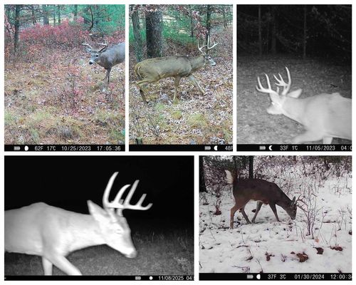 201 N Juneau St, Adams, WI, 53910-9365 | Card Image