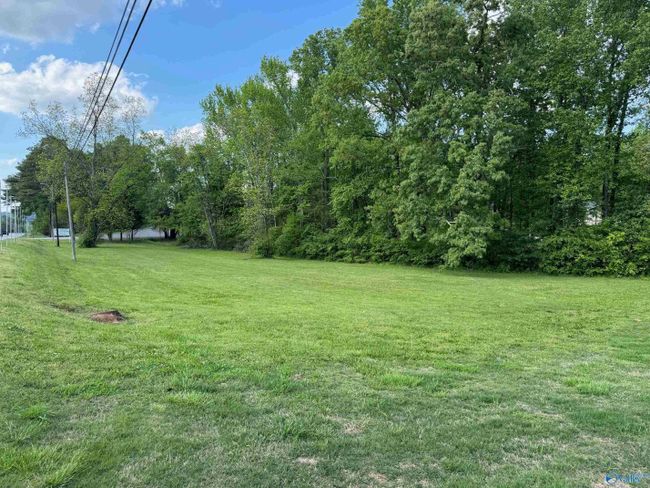 .90 ac Main Street, Home with 0 bedrooms, 0 bathrooms and null parking in Blountsville AL | Image 2