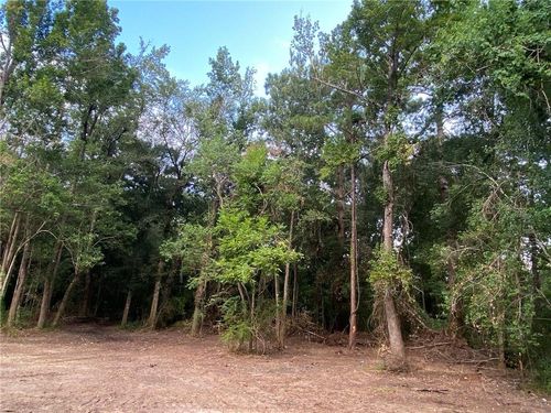 TBD Williams Street, Franklinton, LA, 70438 | Card Image