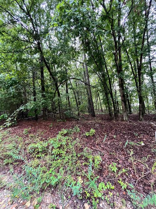 000 Chock Rd, Paron, AR, 72122 | Card Image