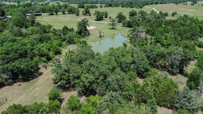 1197 Private Road 2071, Home with 4 bedrooms, 3 bathrooms and null parking in Giddings TX | Image 11