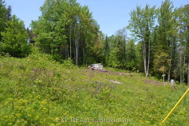 00 Calabogie Rd, House other with 3 bedrooms, 3 bathrooms and 4 parking in Burnstown ON | Image 20