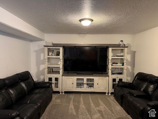 Living area with visible vents, dark carpet, and a textured ceiling | Image 15