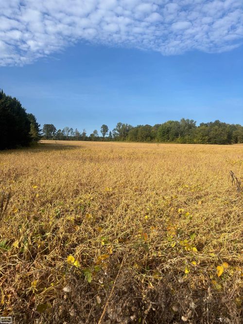 4452 Cole Rd, Burtchville, MI, 48059-2602 | Card Image