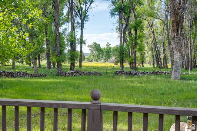 View of yard | Image 13