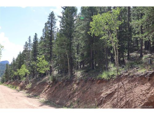 430 Lakeview Rd, Bailey, CO, 80421-1559 | Card Image