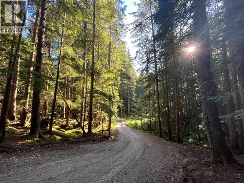 769 Beech Rd, Nakusp, BC, V0G1R1 | Card Image