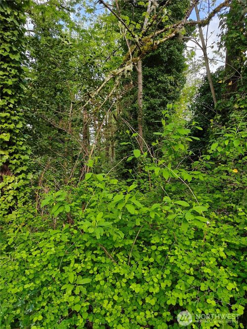 8813 42nd Ave S, Seattle, WA, 98118-4831 | Card Image