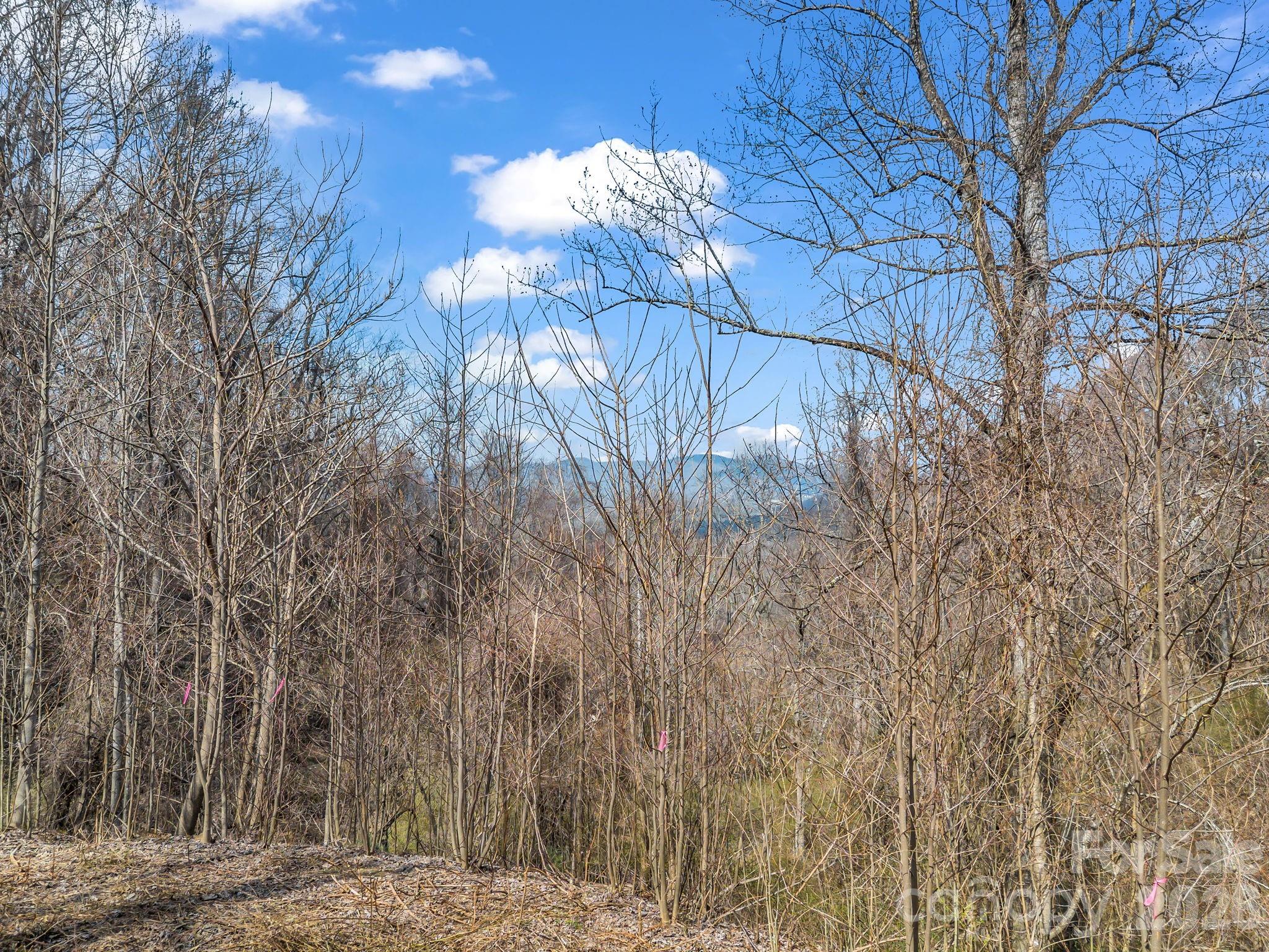 Land in Asheville
