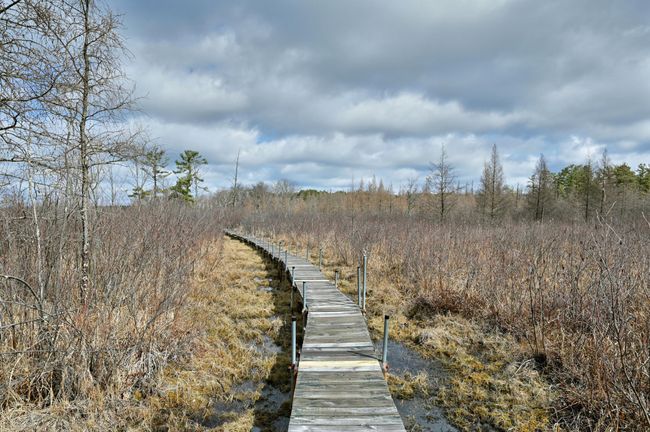 A boardwalk leads to the beach and dock area at the lakeshore. | Image 83