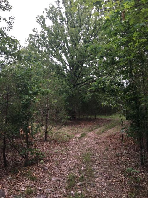 Tract A Deer Haven Trail, Salem, AR, 72576 | Card Image