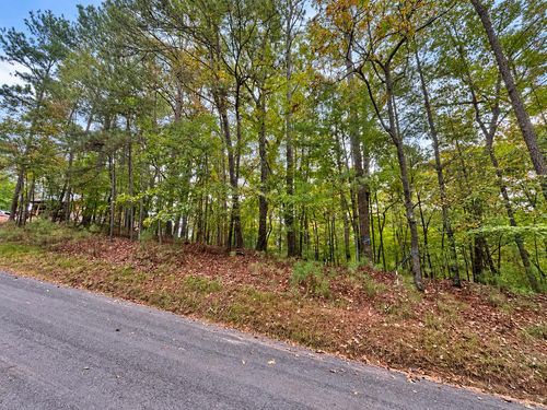 Lt 3026 Francis Way, Ellijay, GA, 30540 | Card Image