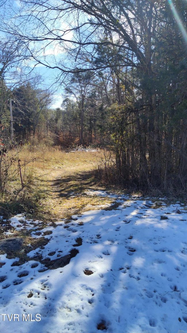 Entrance with clearing. | Image 7