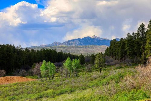 701 Piney Pl, Pagosa Springs, CO, 81147 | Card Image