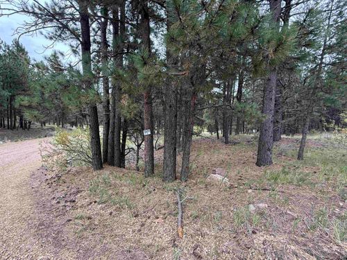 5 Valley Rd, Angel Fire, NM, 87710 | Card Image