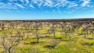 135 Sierra Vista Blvd, Home with 0 bedrooms, 0 bathrooms and null parking in Santo TX | Image 2