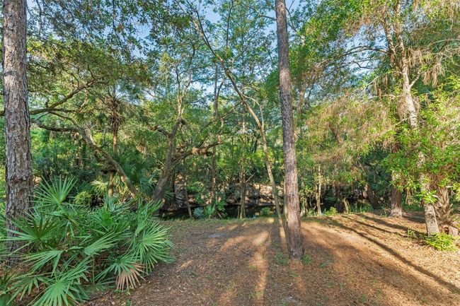 4000 Rouse Rd, House other with 4 bedrooms, 4 bathrooms and null parking in ORLANDO FL | Image 53
