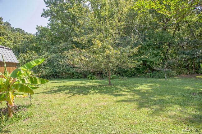 View of yard | Image 46