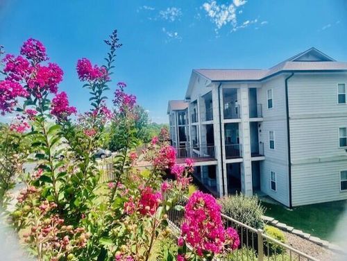 114 Oxford Dr, Branson, MO, 65616-3862 | Card Image