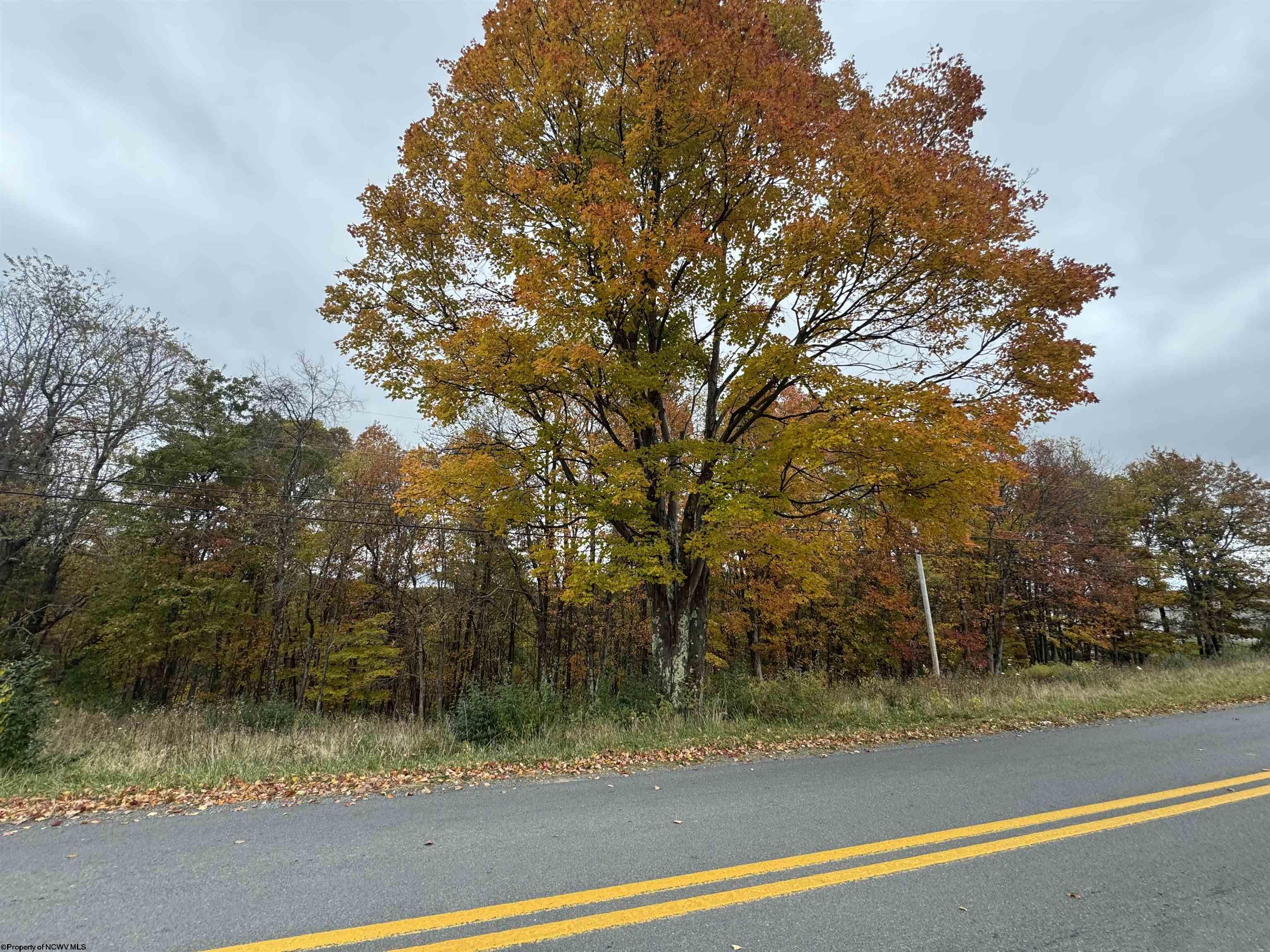 Land in Masontown 2