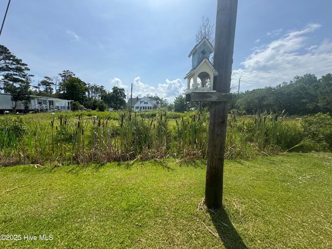 fish tales and cat tails | Image 70