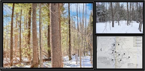 62 Carriage Knolls Rd, Chestertown, NY, 12817-2828 | Card Image