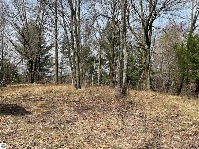 1128 Plett Rd, Home with 0 bedrooms, 0 bathrooms and null parking in Cadillac MI | Image 8