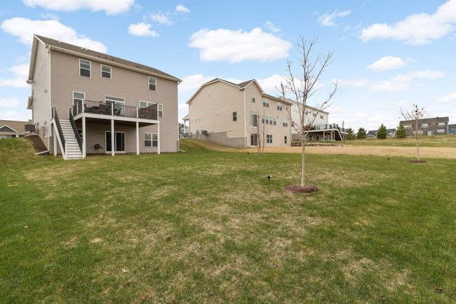 Larger trees planted in your large, flat back yard | Image 28