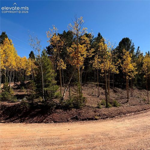 1341 Calcite Dr, Divide, CO, 80814 | Card Image