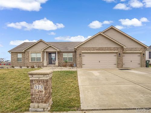 313 Quentin Ct, Waterloo, IL, 62298-1095 | Card Image