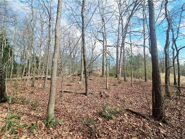 15601 Harrowgate Rd, Home with 0 bedrooms, 0 bathrooms and null parking in Chester VA | Image 5