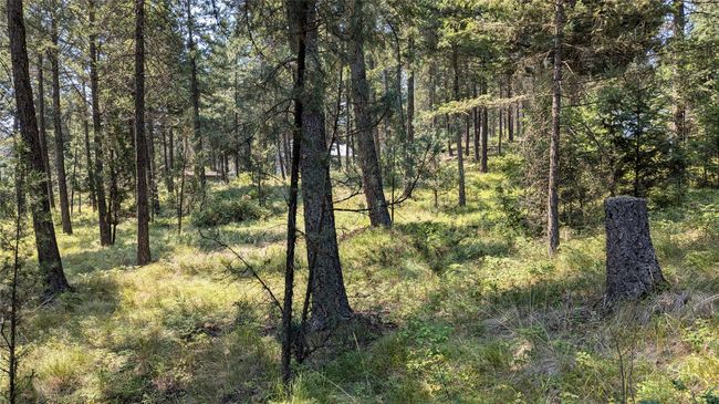 GENTLY SLOPED - PERFECT FOR A DREAM HOME BUILD SITE | Image 16