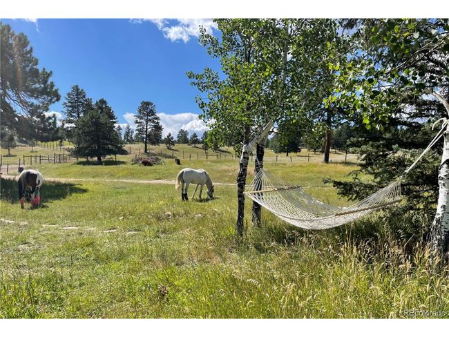 21505 Spring Creek Rd, House other with 3 bedrooms, 3 bathrooms and null parking in Buffalo Creek CO | Image 48