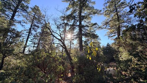 53040 Starlite Ln, Idyllwild, CA, 92549 | Card Image