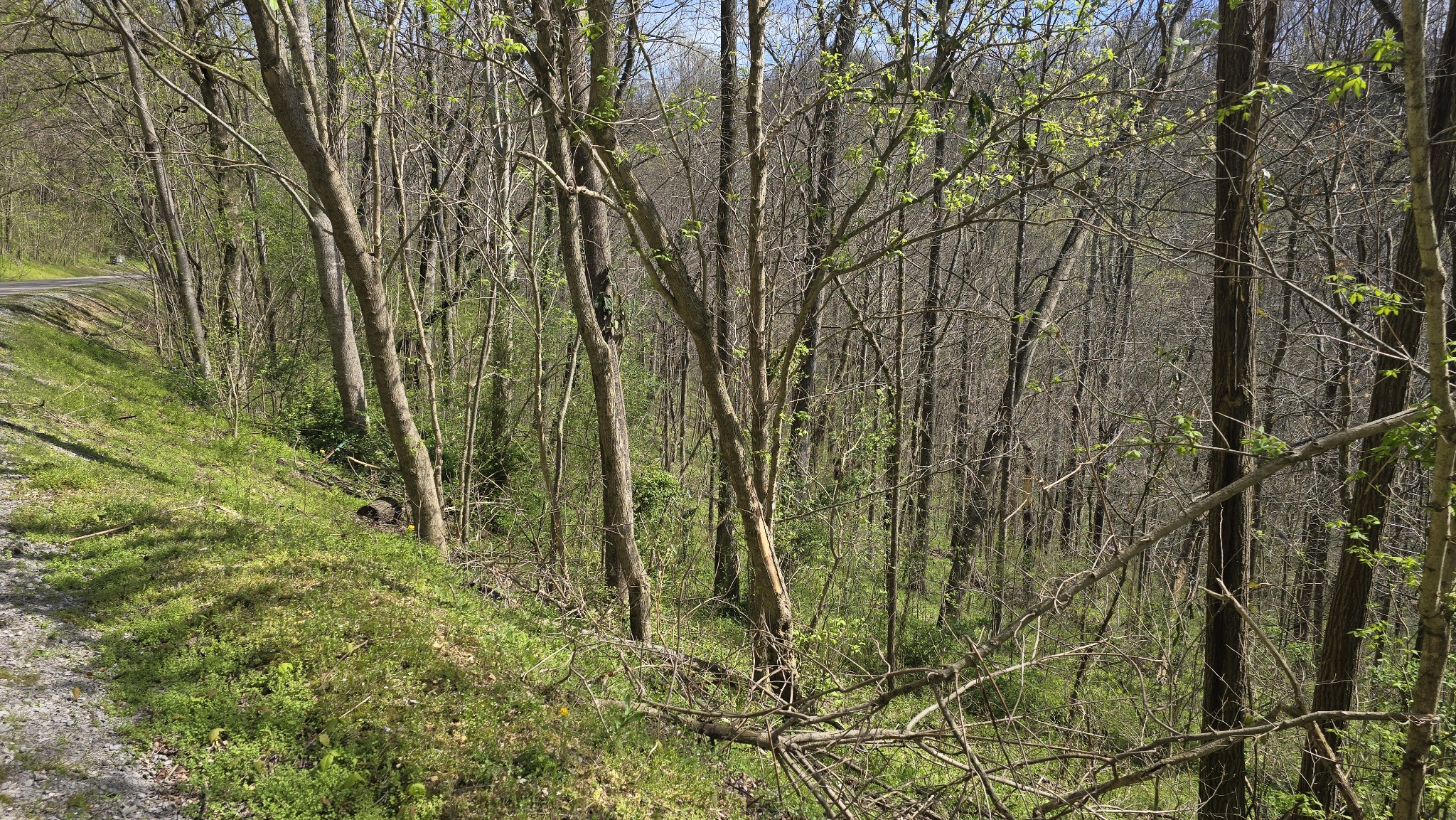 Land in Smithville