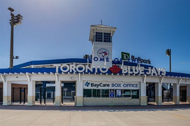 Home of Toronto Blue Jays Spring Training! | Image 86