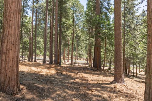 3043 Shoshone Dr, Camp Connell, CA, 95223 | Card Image