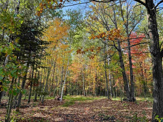 4030 North Rd, House other with 2 bedrooms, 1 bathrooms and null parking in Moose Lake MN | Image 16