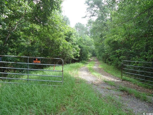 View of dirt / gravel road with a gated entry and a wooded view | Image 4